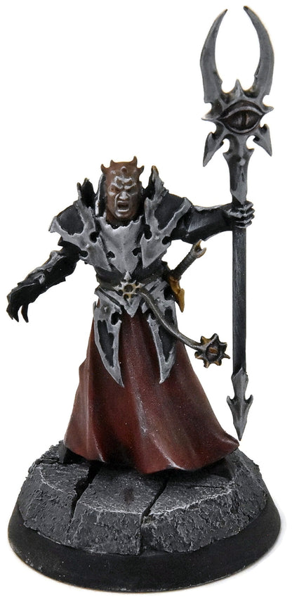 SLAVES TO DARKNESS Chaos Sorcerer Lord #1 WELL PAINTED Warhammer Sigmar