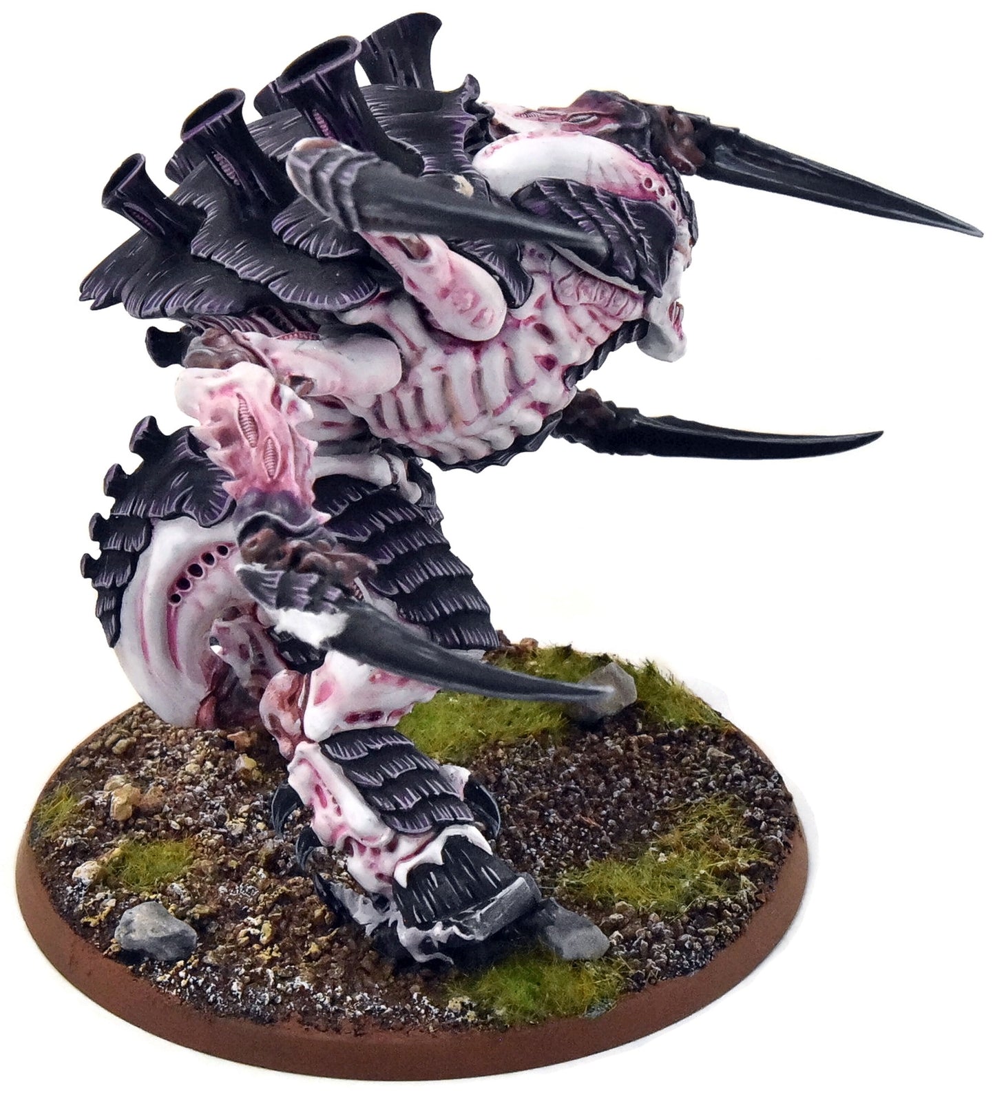 TYRANIDS Screamer Killer #1 PRO PAINTED Warhammer 40K
