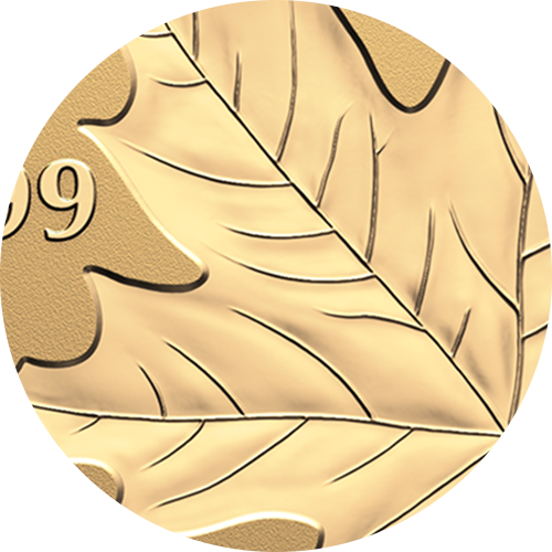 Pure Gold Fractional Set – Commemorate the 100th Birthday of Queen Elizabeth II (2026)