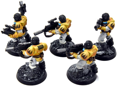 SPACE MARINES Imperial Fists 5 Scout Marines #3 WELL PAINTED Warhammer 40K