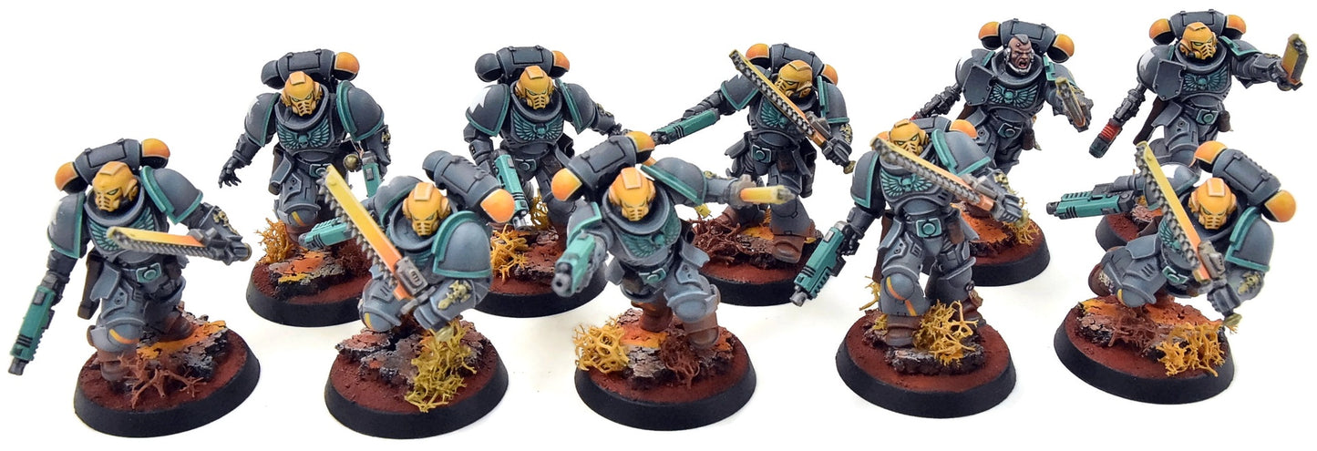 SPACE MARINES 10 Assault Intercessors Squad #2 PRO PAINTED Warhammer 40K