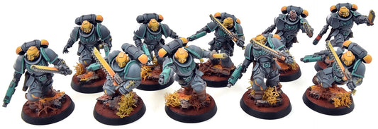 SPACE MARINES 10 Assault Intercessors Squad #2 PRO PAINTED Warhammer 40K