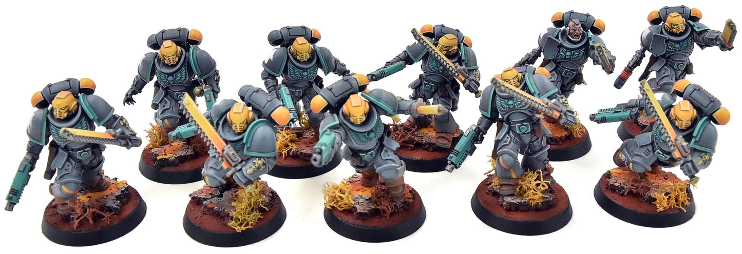 SPACE MARINES 10 Assault Intercessors Squad #2 PRO PAINTED Warhammer 40K