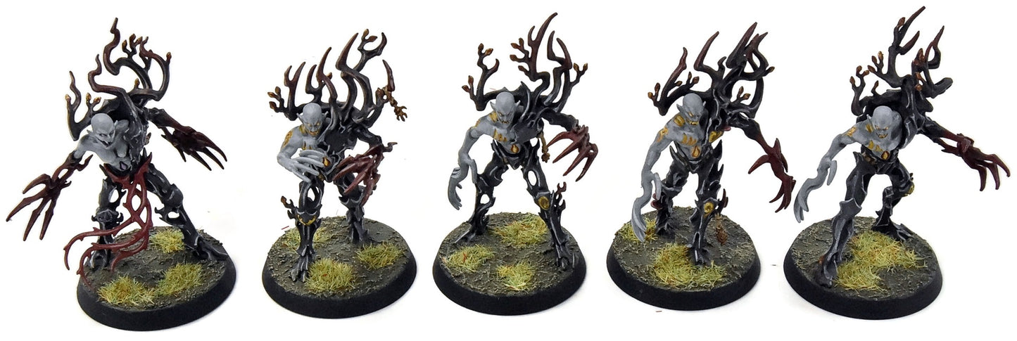 SYLVANETH 5 Spite Revenants #1 WELL PAINTED Sigmar
