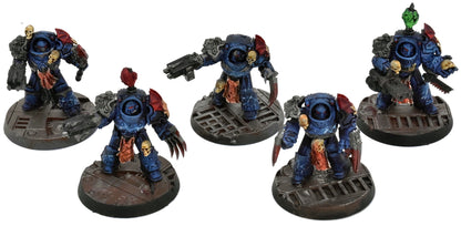 CHAOS SPACE MARINES 5 Chaos Terminators Squad #1 WELL PAINTED 40K Night Lords