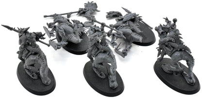 SERAPHON 5 Cold One Riders #1 Warhammer Sigmar Saurus Knights