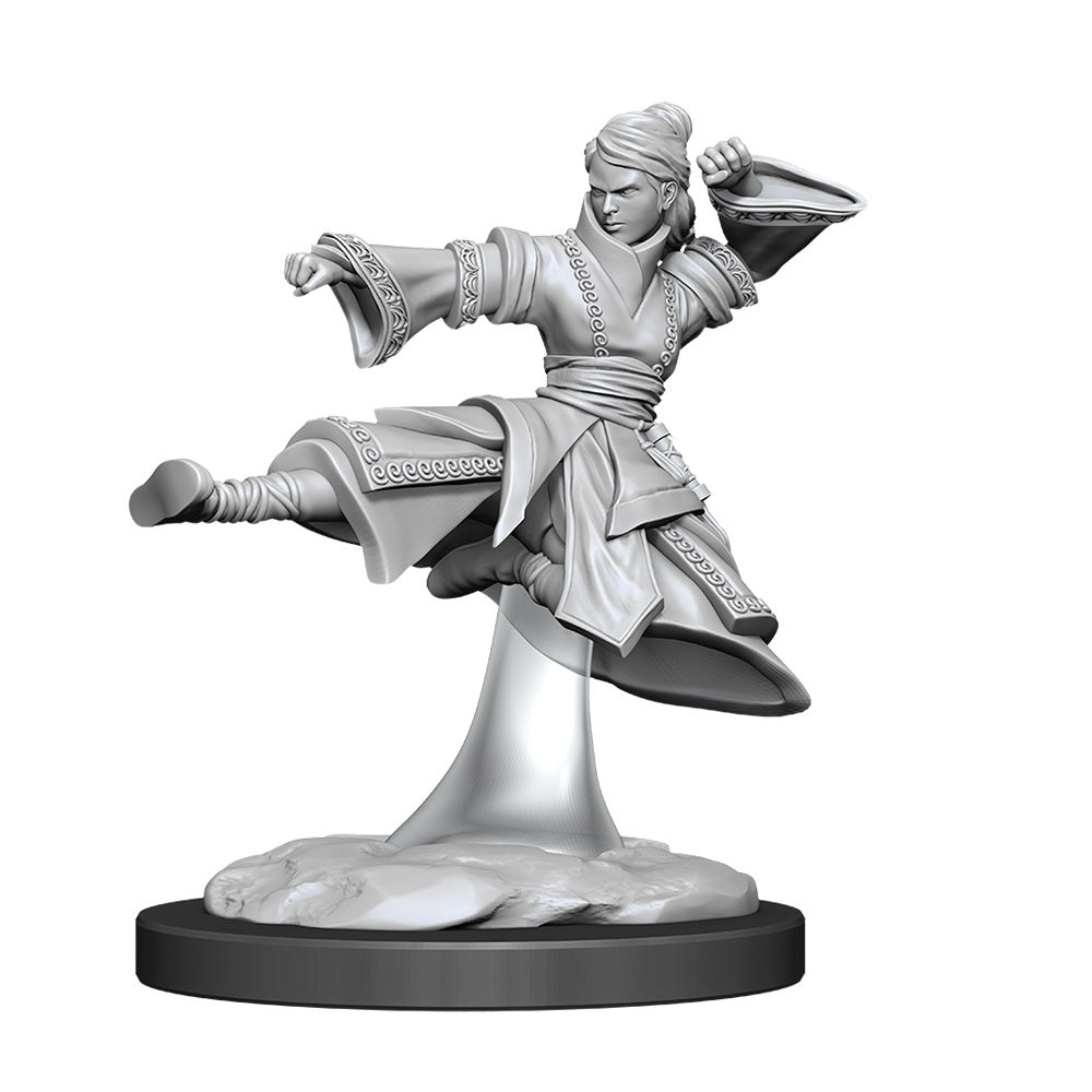 D&D Unpainted Minis Wv11 Female Human Monk