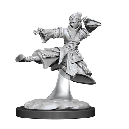 D&D Unpainted Minis Wv11 Female Human Monk