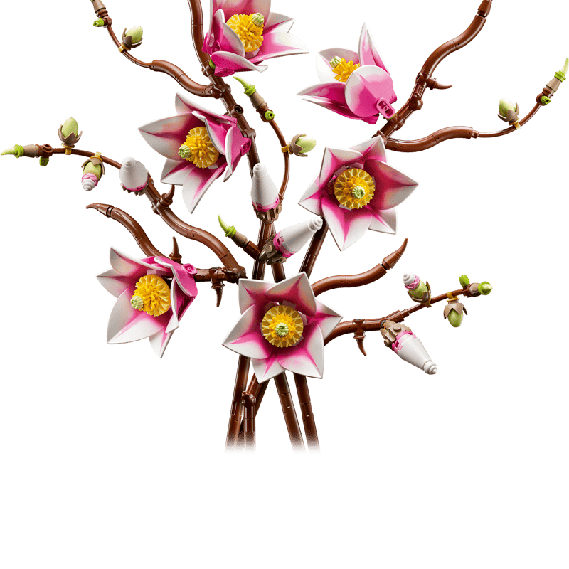 Magnolia Branches