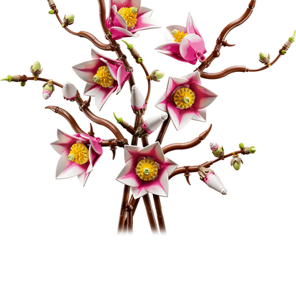 Magnolia Branches
