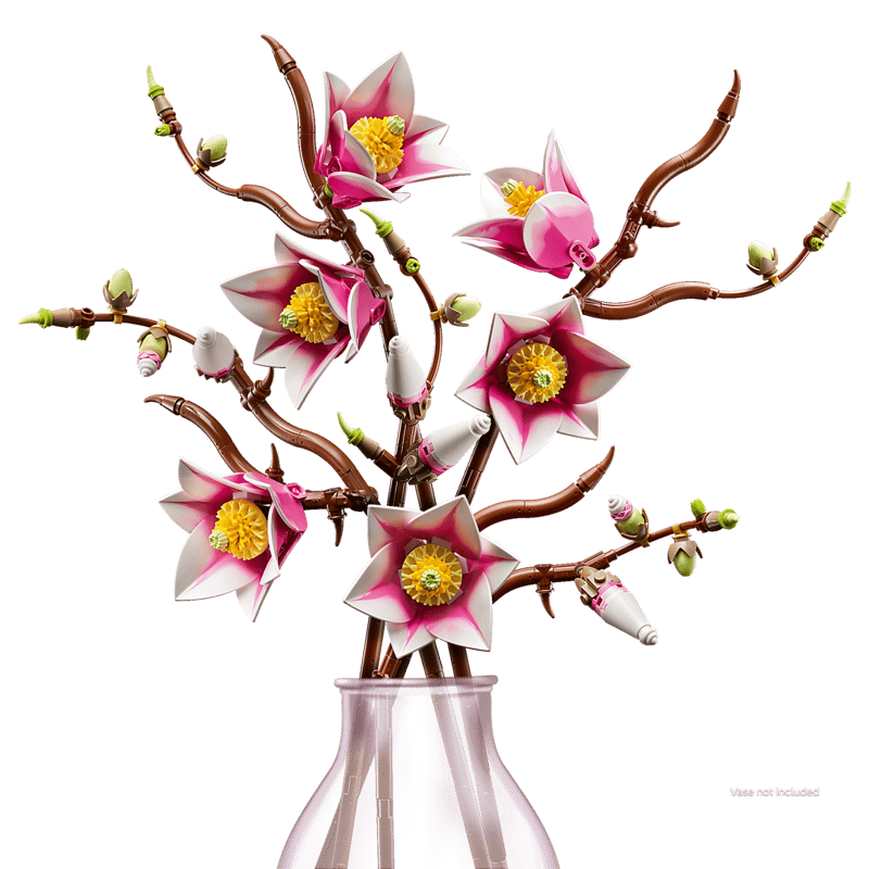 Magnolia Branches