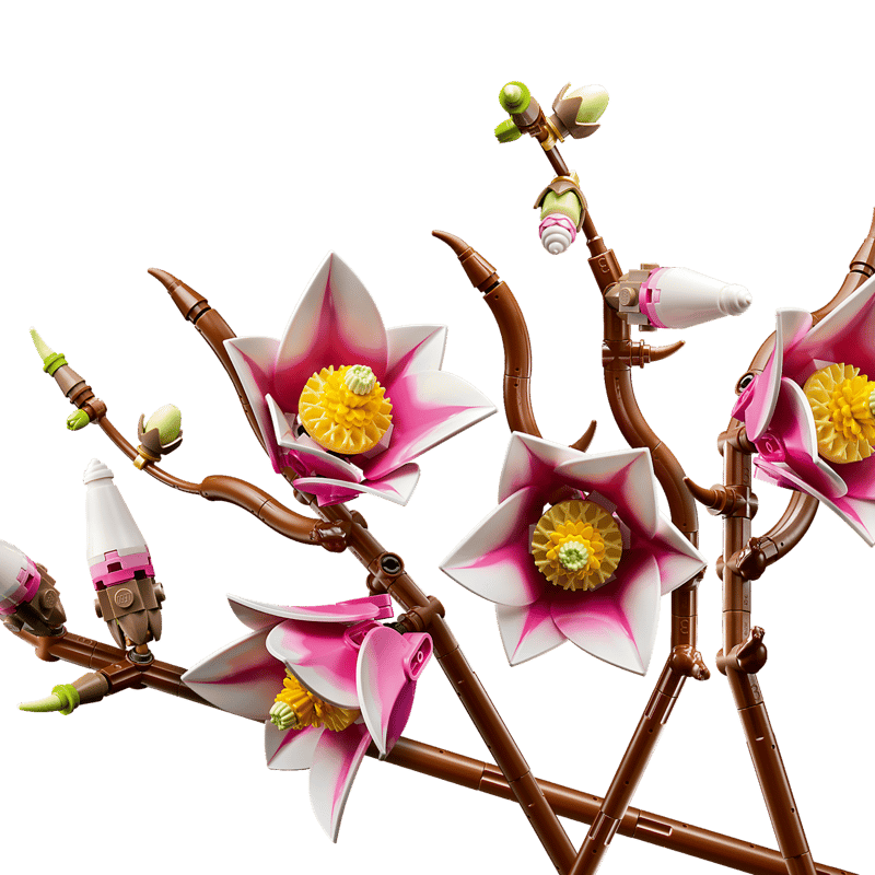 Magnolia Branches