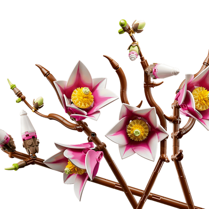 Magnolia Branches