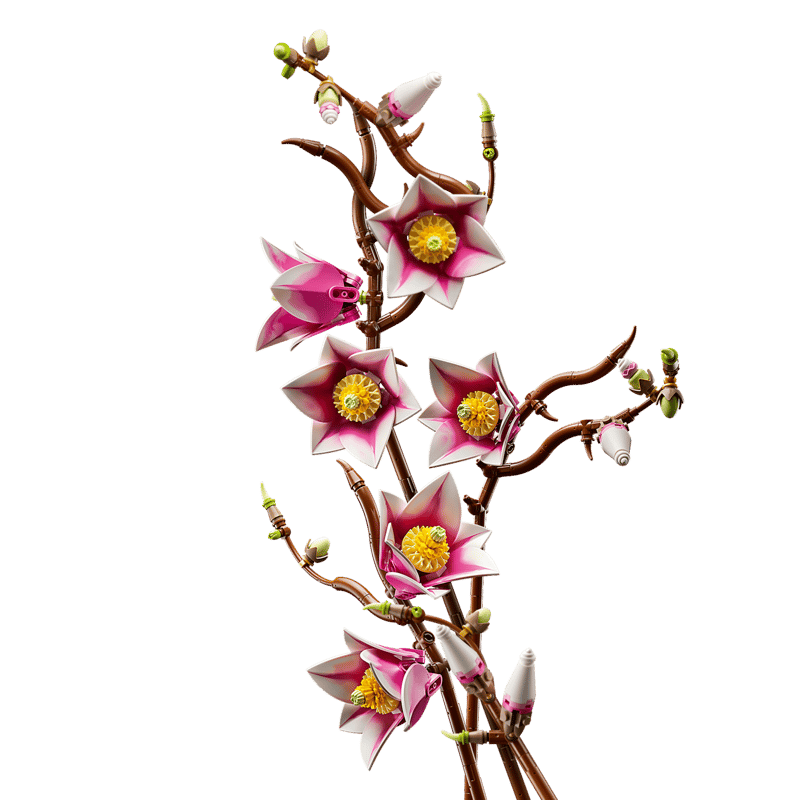 Magnolia Branches