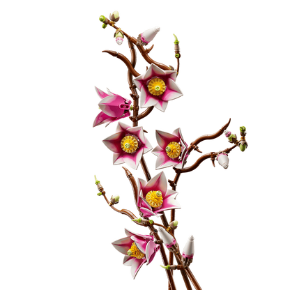 Magnolia Branches