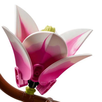 Magnolia Branches