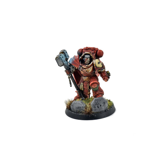 BLOOD ANGELS Smash Captain in Terminator Armour #1 Converted WELL PAINTED 40K
