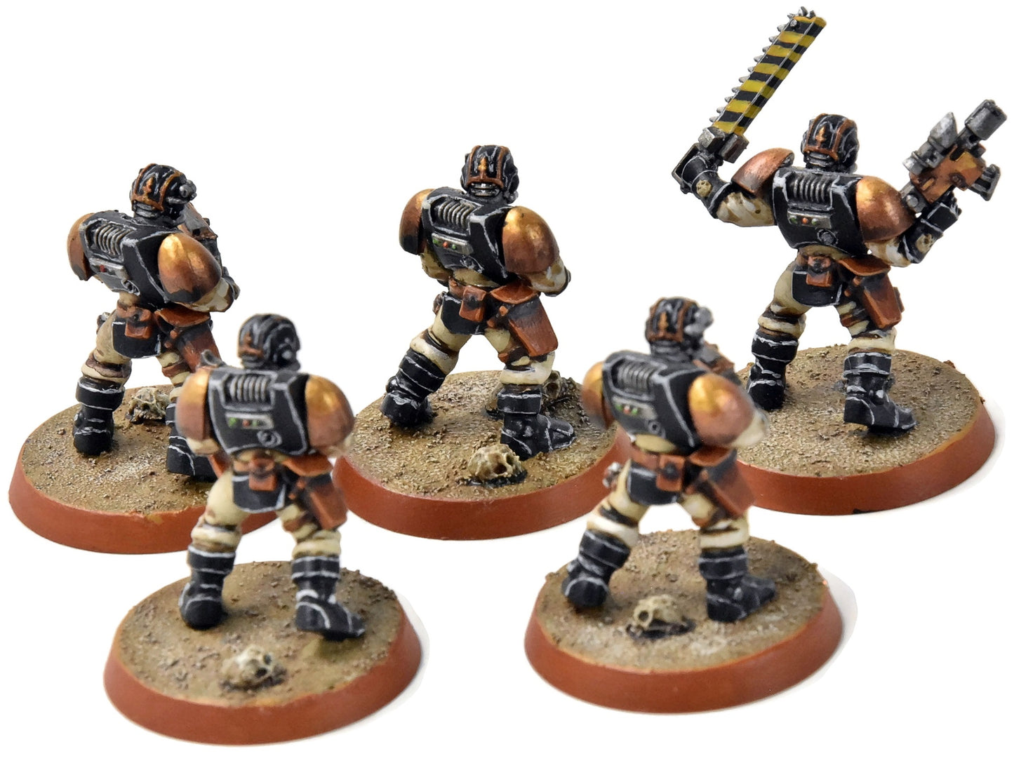 SPACE MARINES 5 Scouts Converted #3 PRO PAINTED Warhammer 40K
