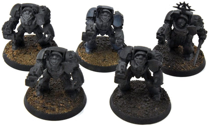 SPACE MARINES 5 Terminators #6 Warhammer 40K