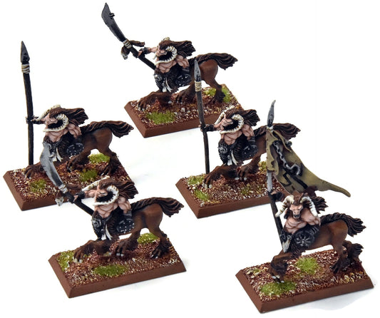 BEASTMEN 5 Centigor Herds #1 PRO PAINTED Metal