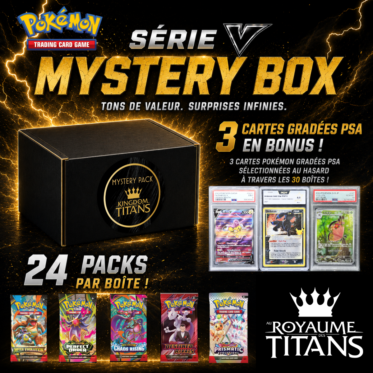 Mystery Box Pokémon Series V #19