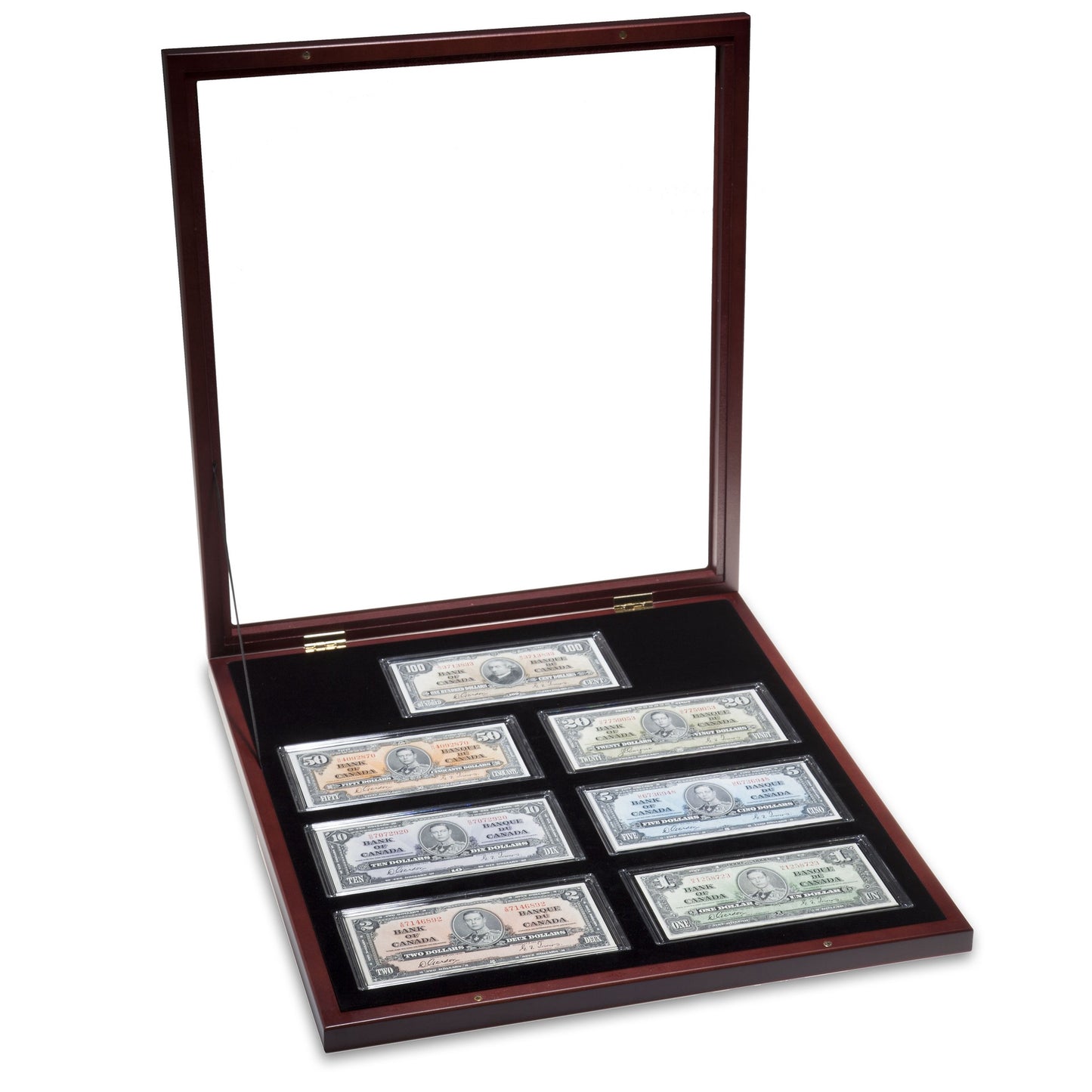 Showcase For 7 Banknotes Including Capsules