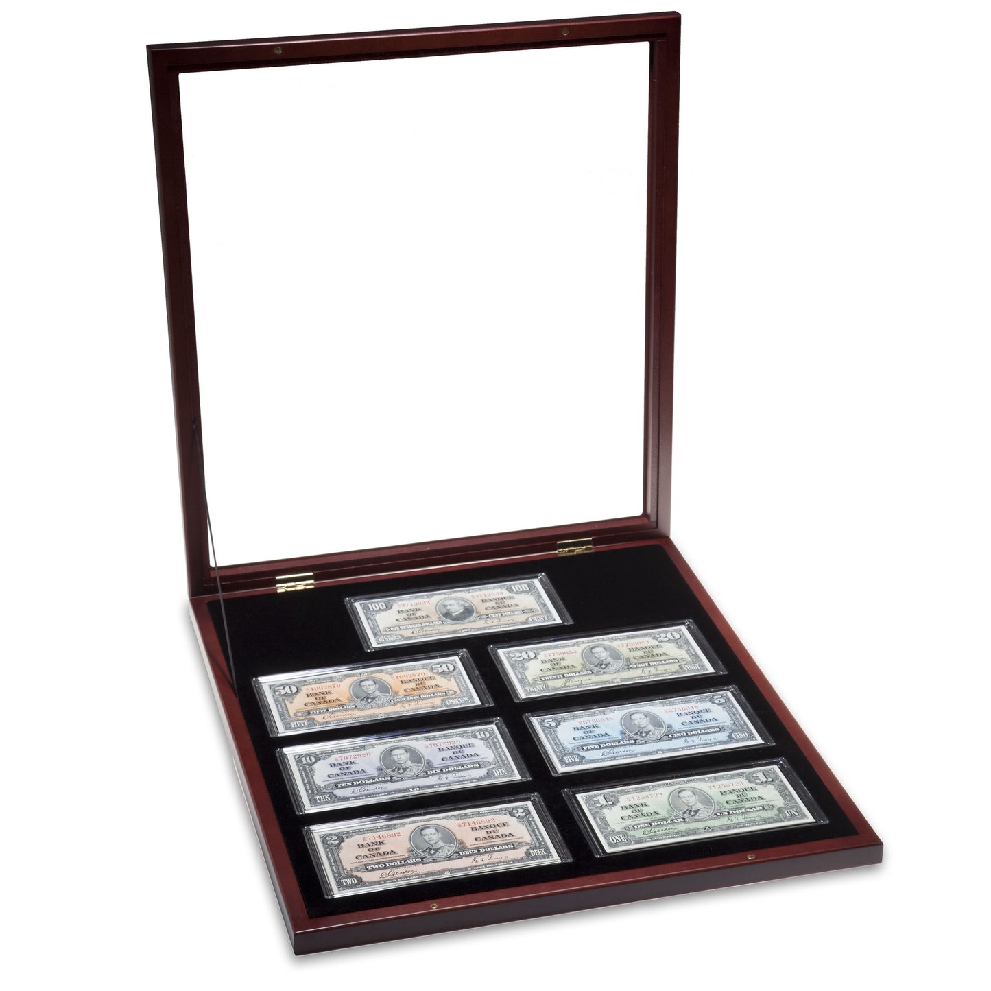 Showcase For 7 Banknotes Including Capsules