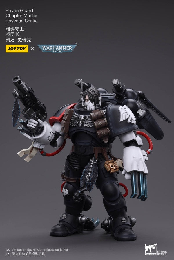 Raven Guard Chapter Master Kayvaan Shrike Joy Toy