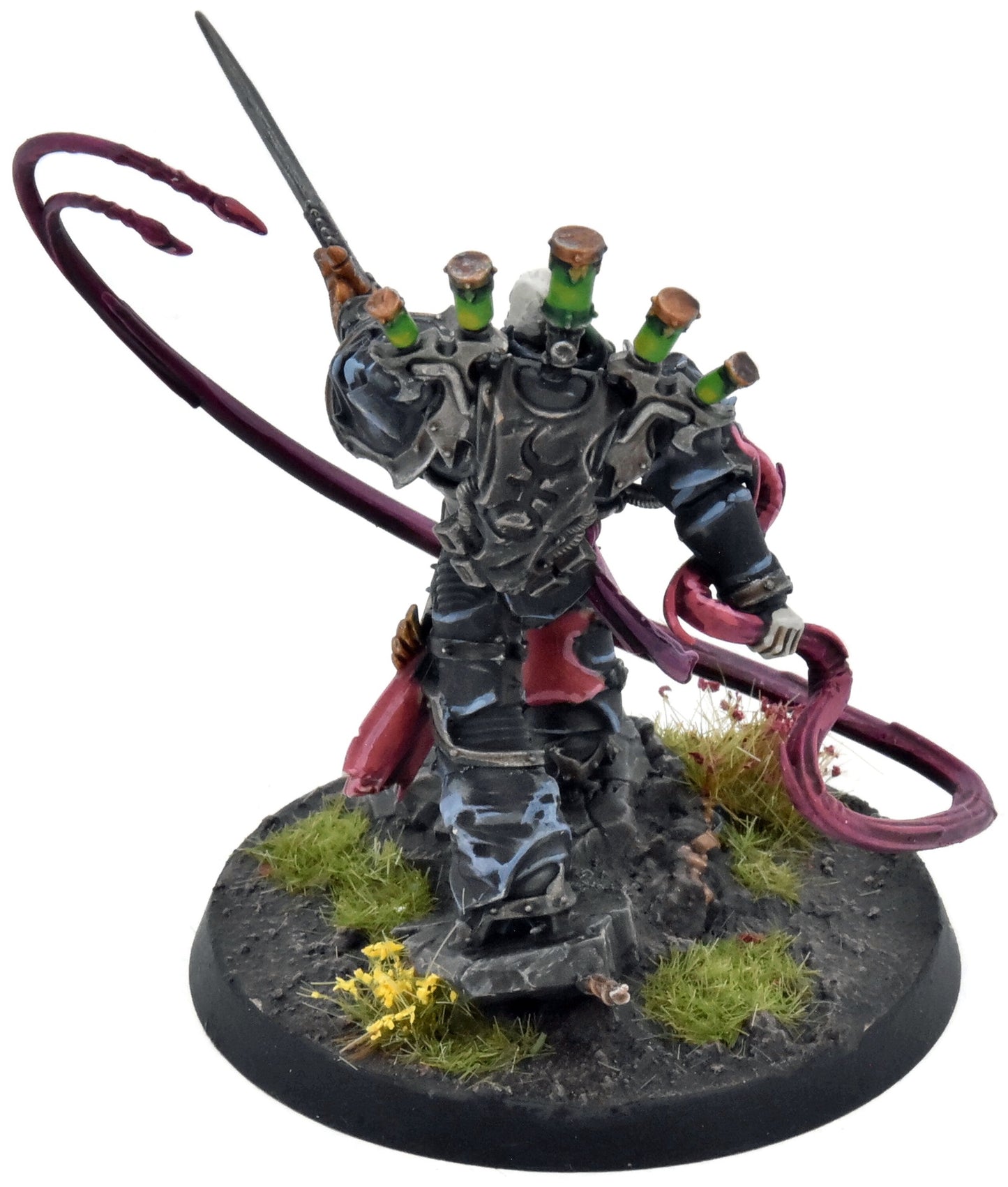 MARINES DE L'ESPACE DU CHAOS Enfants de l'Empereur Lucius l'Éternel COMMANDE PRO PEINTURE PRO