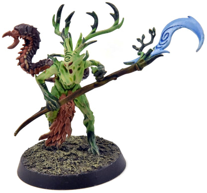 SYLVANETH Branchwych #1 PRO PAINTED Sigmar