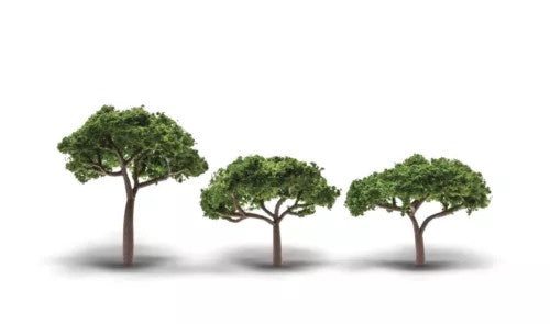 Coniferous Canopy Trees Classics 2-5/16 to 3-5/16in Tall TR3555