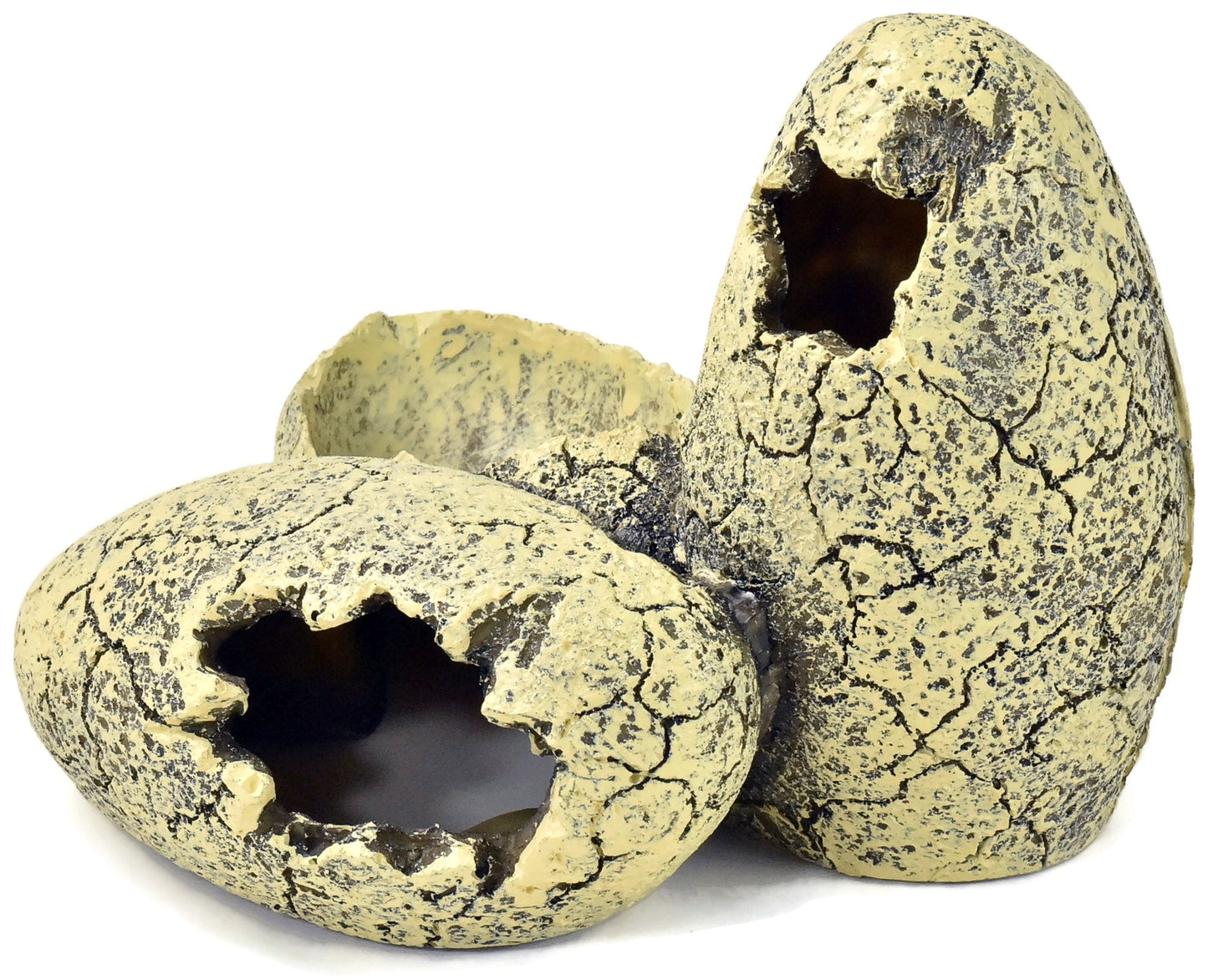 DUNGEONS & DRAGONS Eggs Scenery #1 Resin