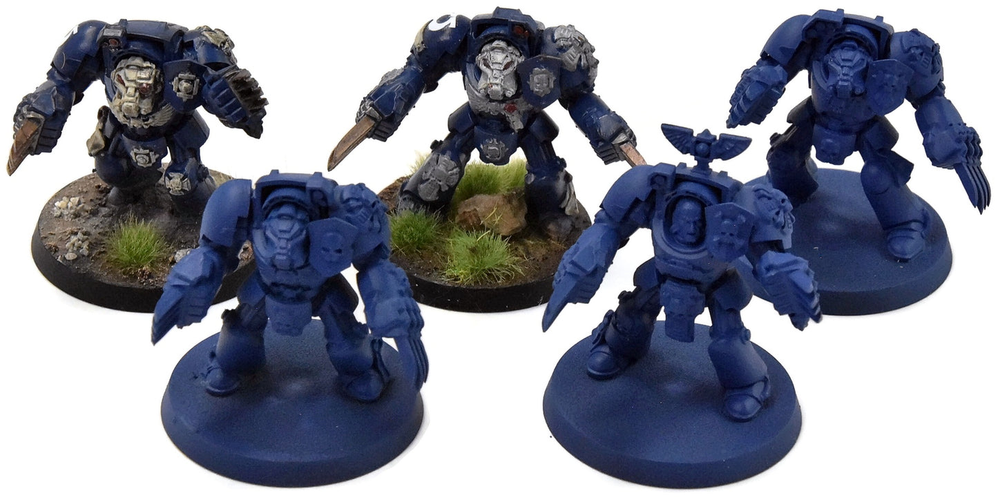 SPACE MARINES Ultramarines 5 Terminator Assault Squad #1 Warhammer 40K