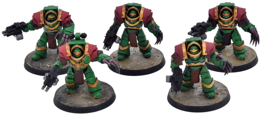 SPACE MARINES Horus Heresy 5 Cataphractii Terminators #1 WELL PAINTED 40K