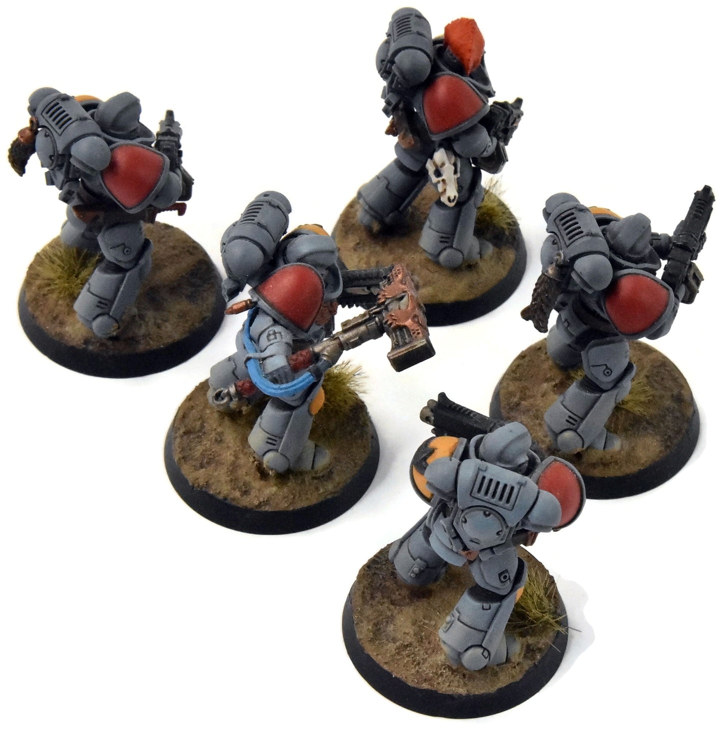 SPACE WOLVES 5 Intercessors #3 Warhammer 40K WELL PAINTED