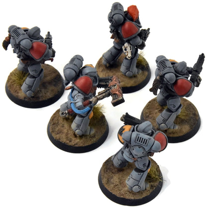 SPACE WOLVES 5 Intercessors #3 Warhammer 40K WELL PAINTED