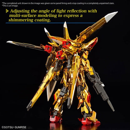 AKATSUKI GUNDAM OOWASHI unit RG 1/144 Bandai