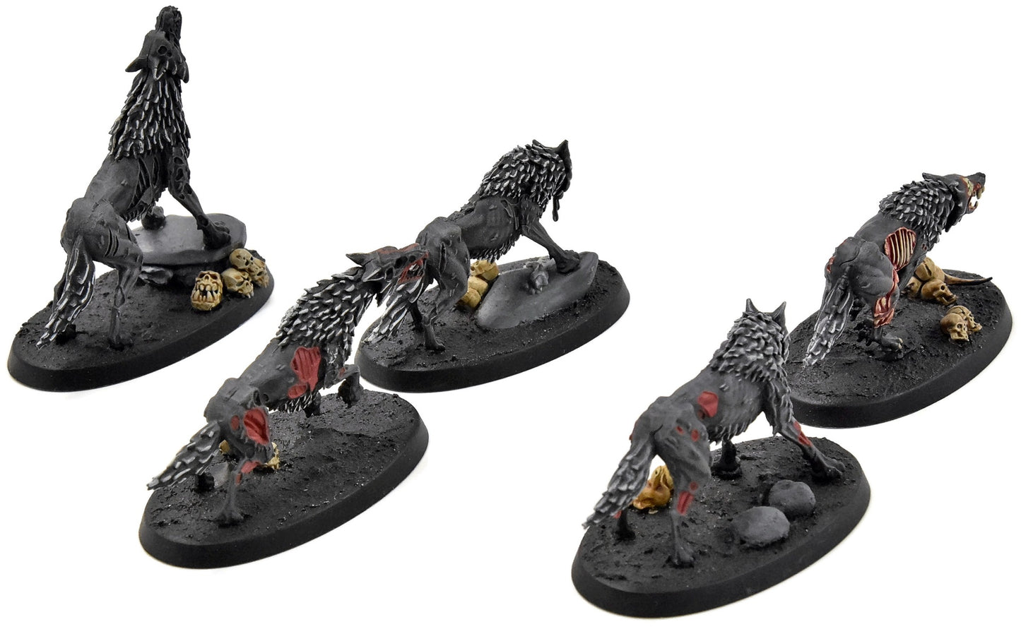 SOULBLIGHT GRAVELORDS Dire Wolves #1 WELL PAINTED Sigmar