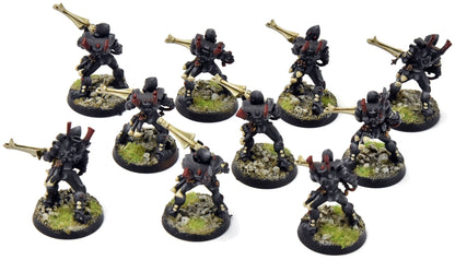 AELDARI 10 Guardians #1 PRO PAINTED Warhammer 40K