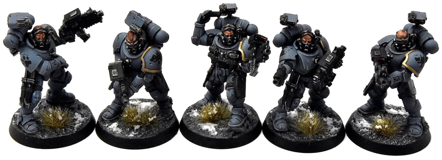 SPACE WOLVES 10 Incursors #1 PRO PAINTED Warhammer 40K