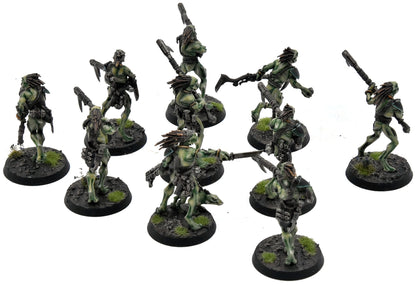 TAU EMPIRE 10 Kroot Carnivores COMMISSION PRO PAINTED Warhammer 40K