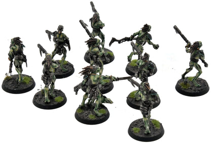 TAU EMPIRE 10 Kroot Carnivores COMMISSION PRO PAINTED Warhammer 40K