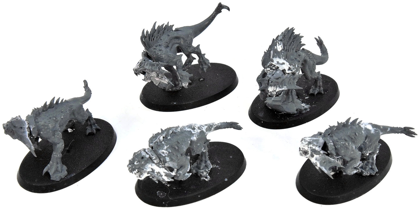 CHAOS DAEMONS 5 Flesh Hounds #4 Warhammer 40K Bad Condition