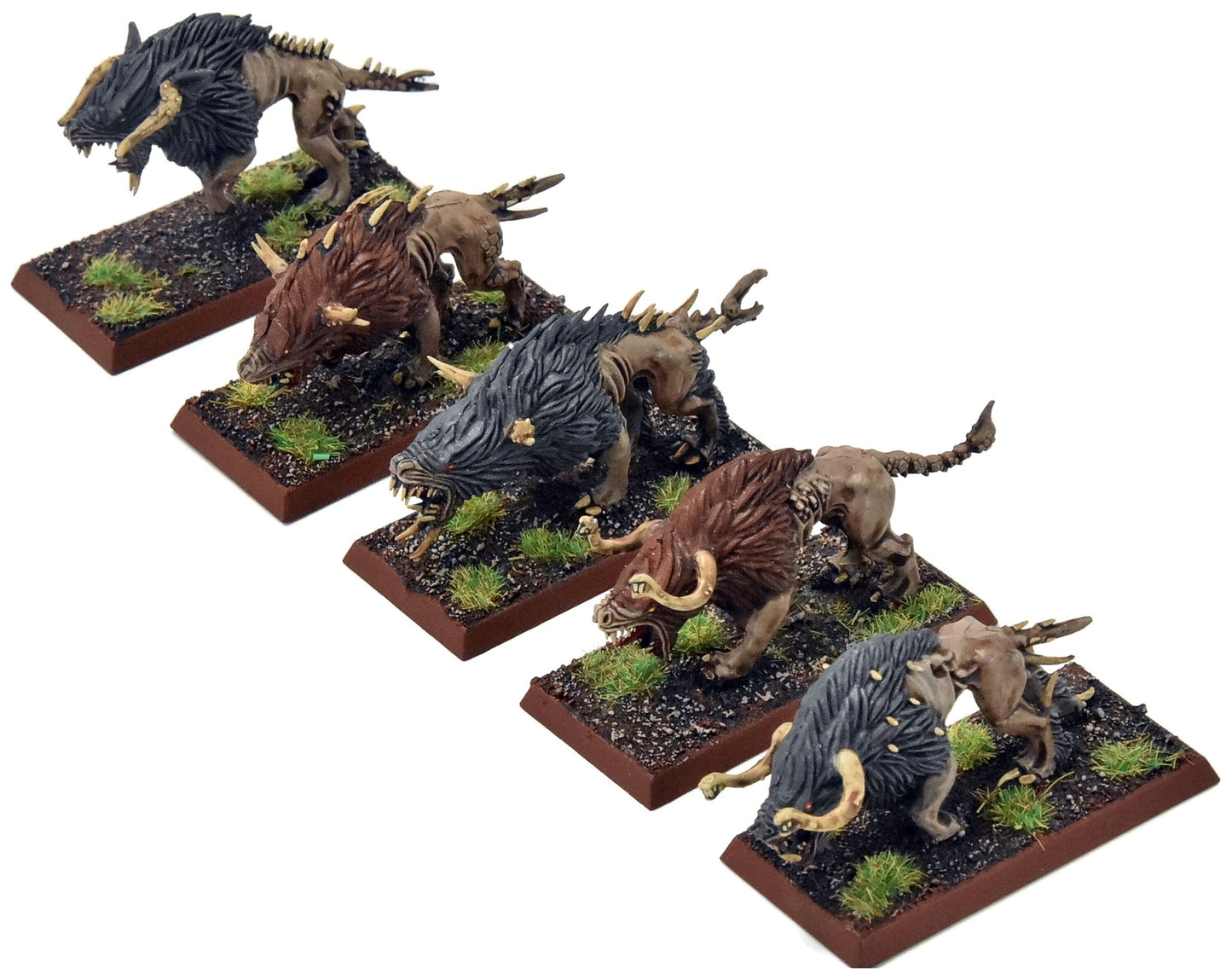 BEASTMEN 10 Chaos Warhounds #1 PRO PAINTED Fantasy