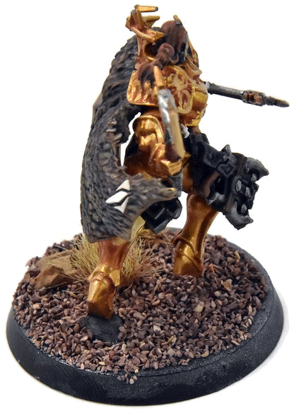 STORMCAST ETERNALS Neave Blacktalon #1 WELL PAINTED Sigmar