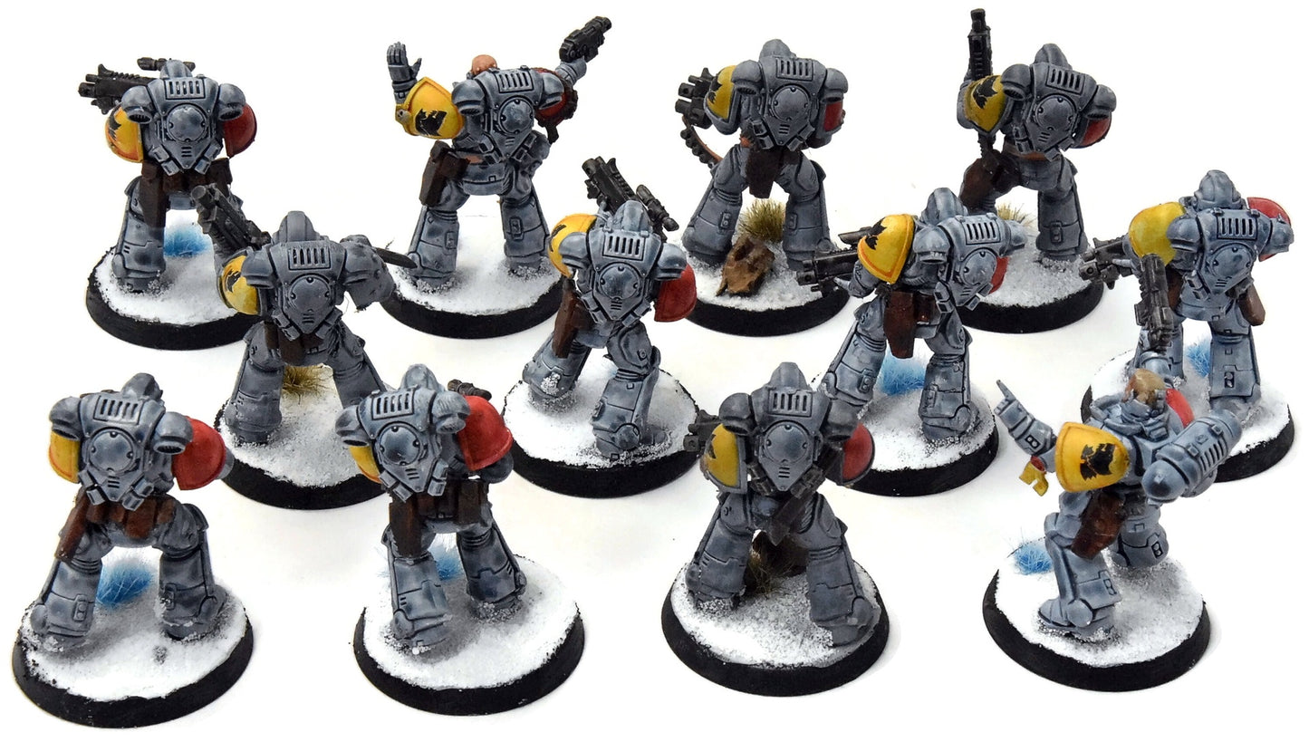 SPACE WOLVES 12 Intercessors #2 Warhammer 40K