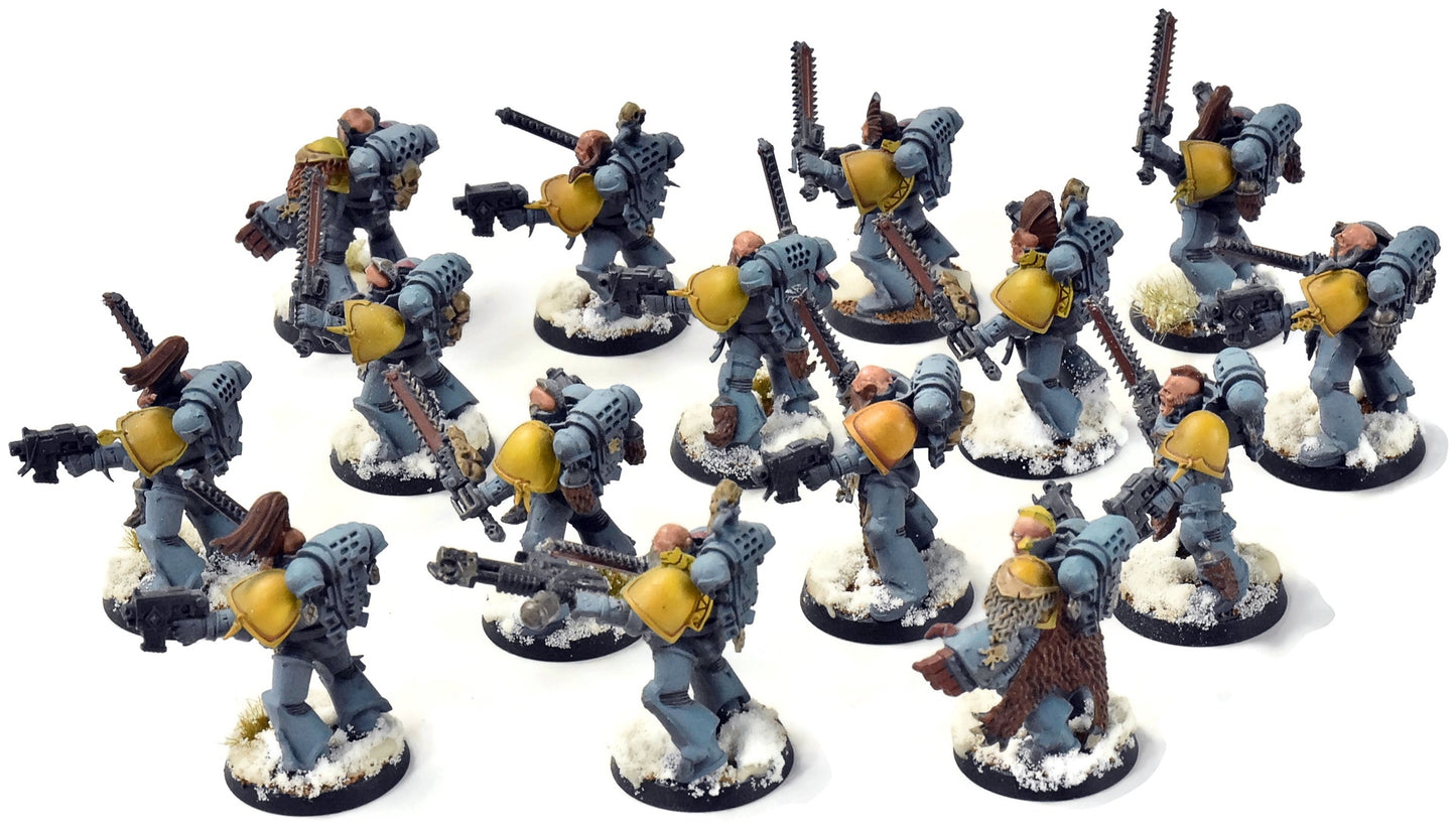 SPACE WOLVES 15 Blood Claws #1 WELL PAINTED Warhammer 40K