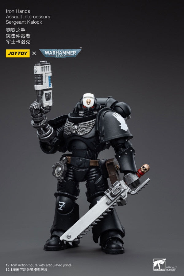 Assault Intercessors Sergeant Kalock Iron Hands Joy Toy