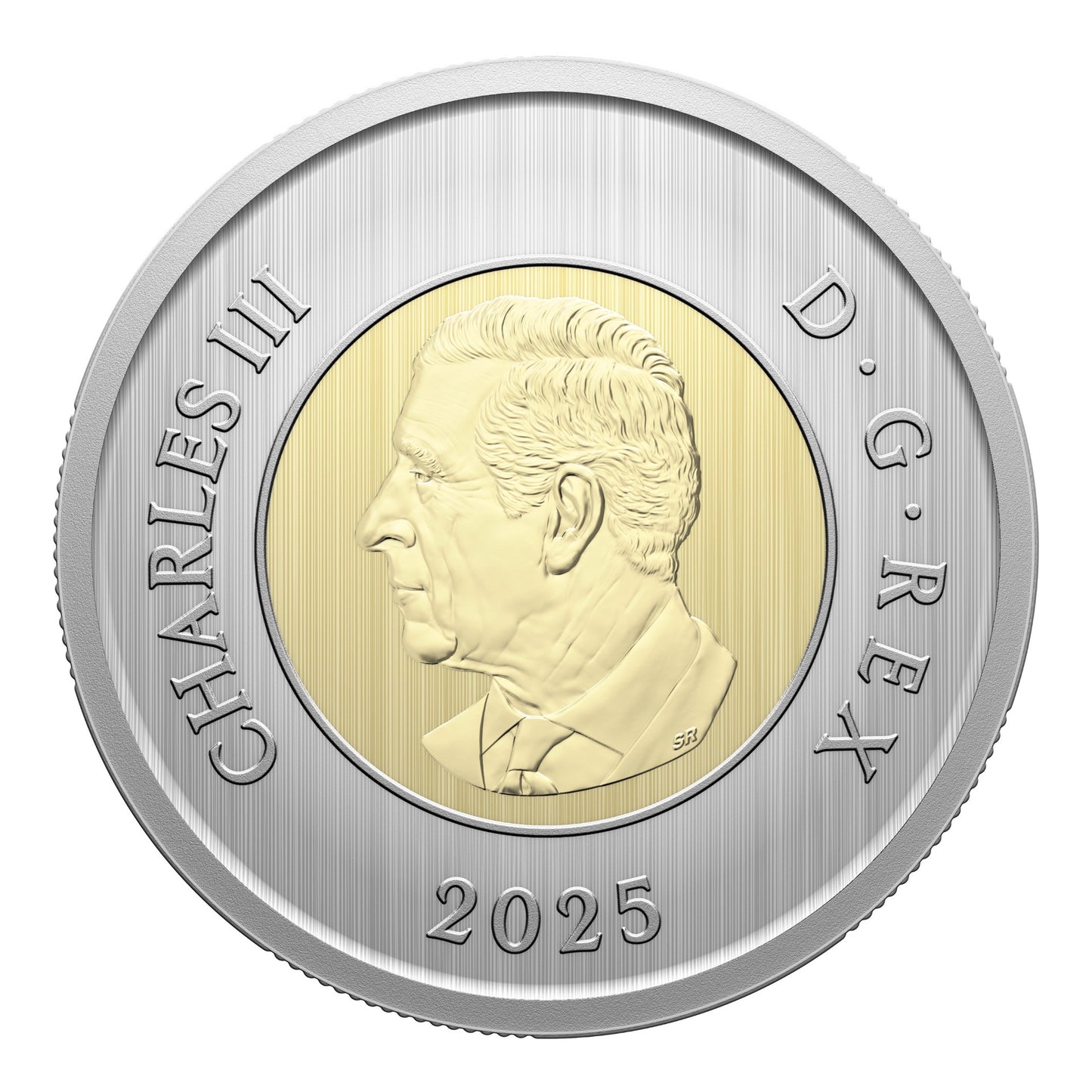 Specimen Set – Monarch Butterfly (2025)