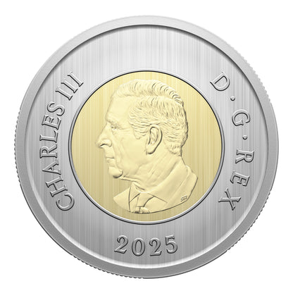 Specimen Set – Monarch Butterfly (2025)